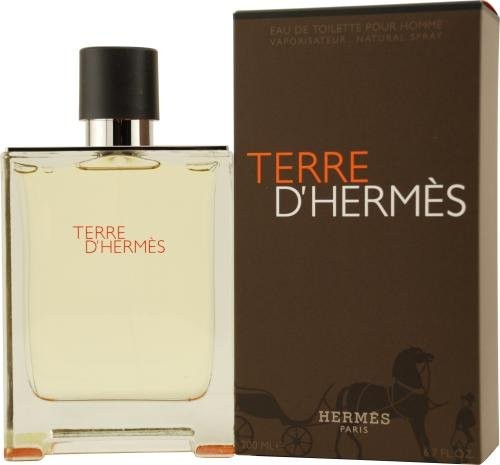 Hermes Terre D'Hermes EDT 100ml for Men